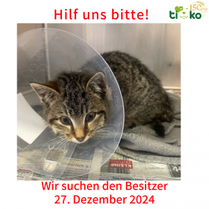 Fundtiere FB